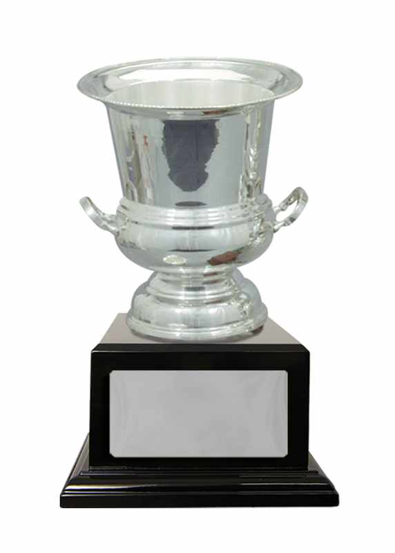 Silver Plated Cup