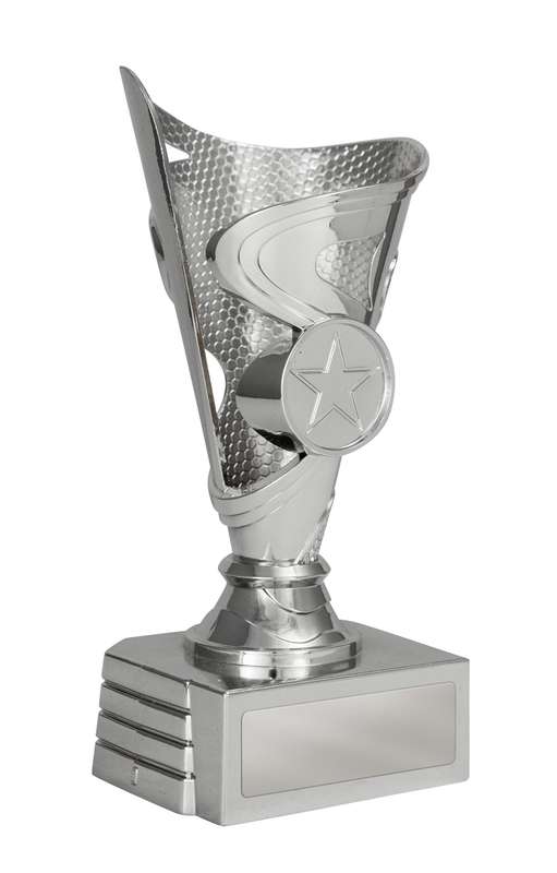 Cup on Base Silver in Colour