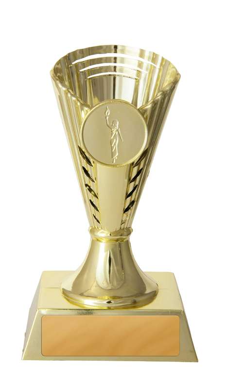 Gold Cup Gold in Colour