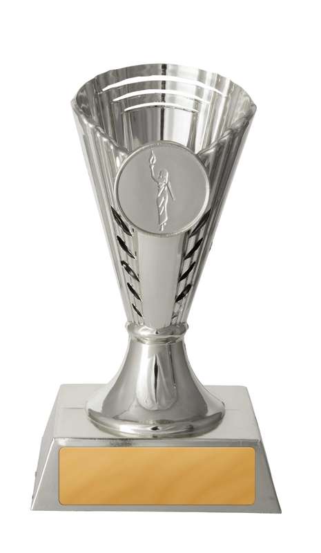 Silver Cup Silver in Colour