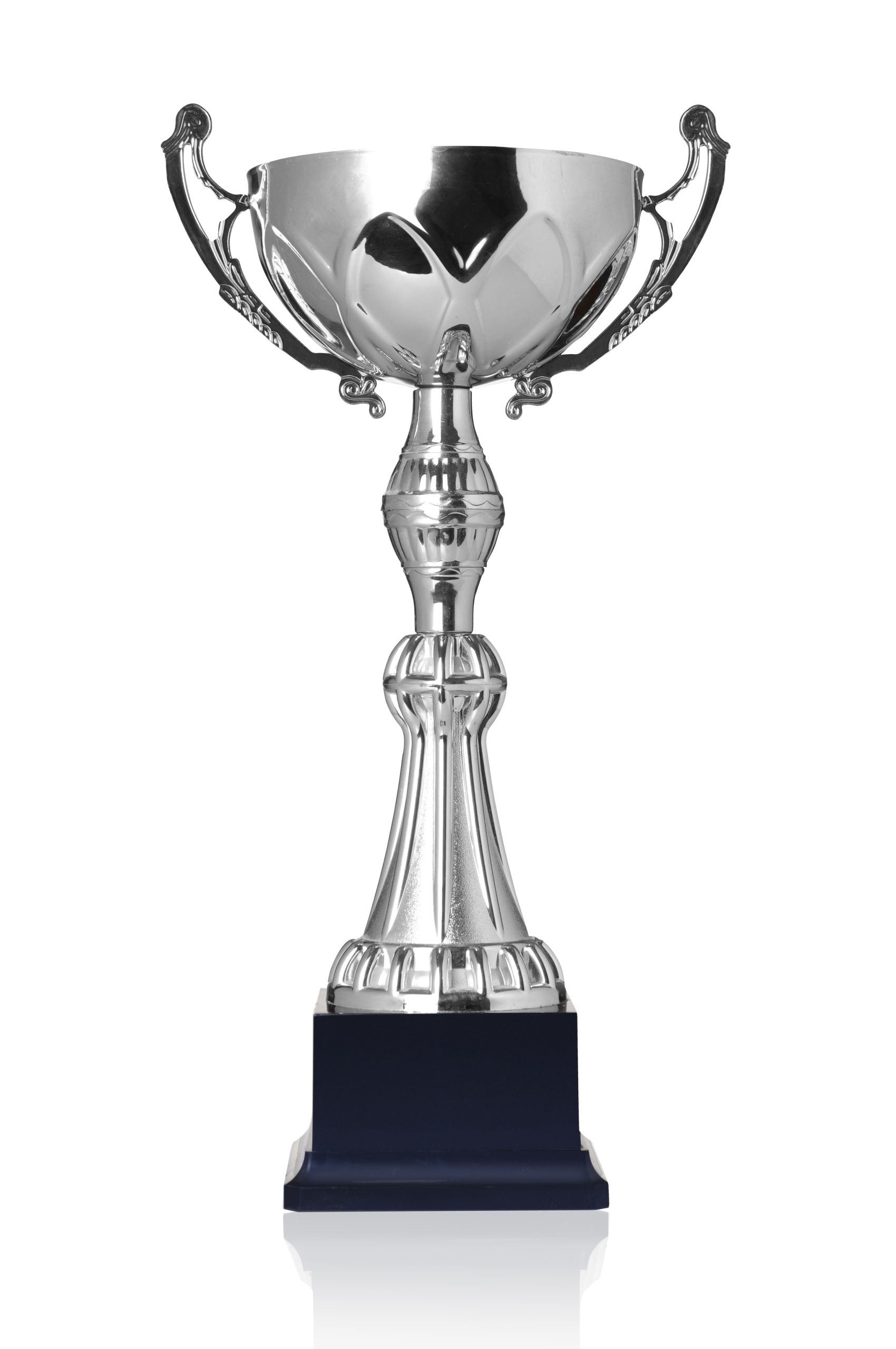 Staff Picks: Silver Plated Cups with Custom Engraving