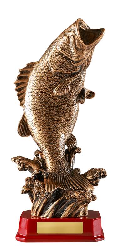 Trout